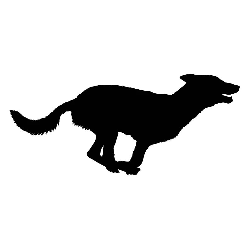 Hund Shilouette run