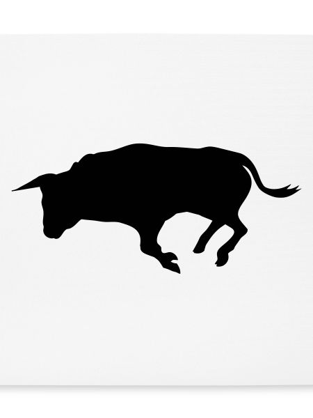 stier