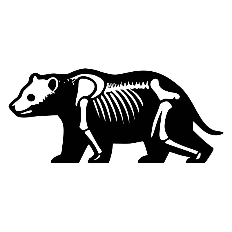 Skeleton Bear