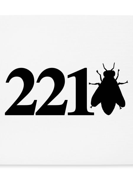sherlock_221bee