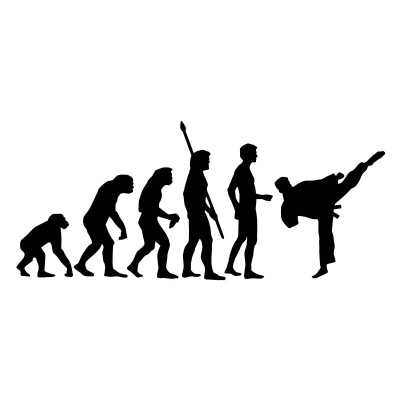 evolution_kampfsport