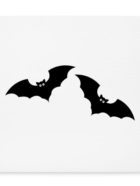 Bat 2