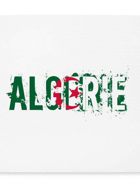logo_flag_grunge_algerie_2