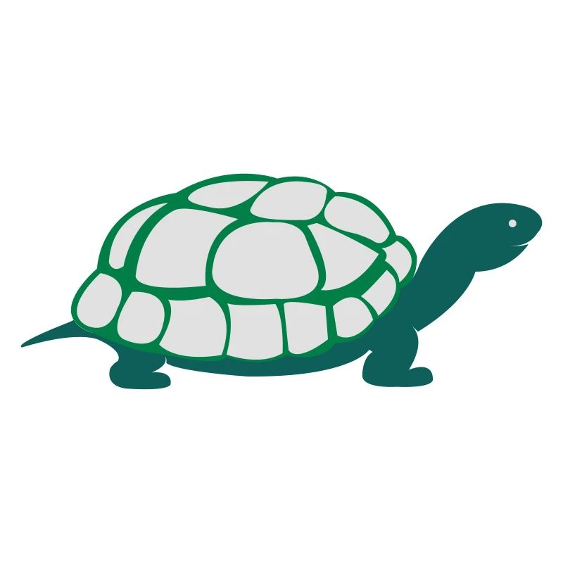 turtle_002