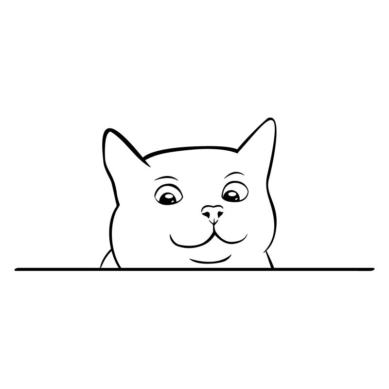 Tête de chat regardant par-dessus bord