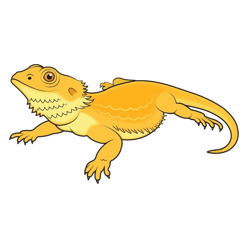 Beard agama take it easy