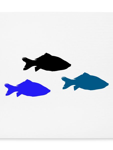 fische