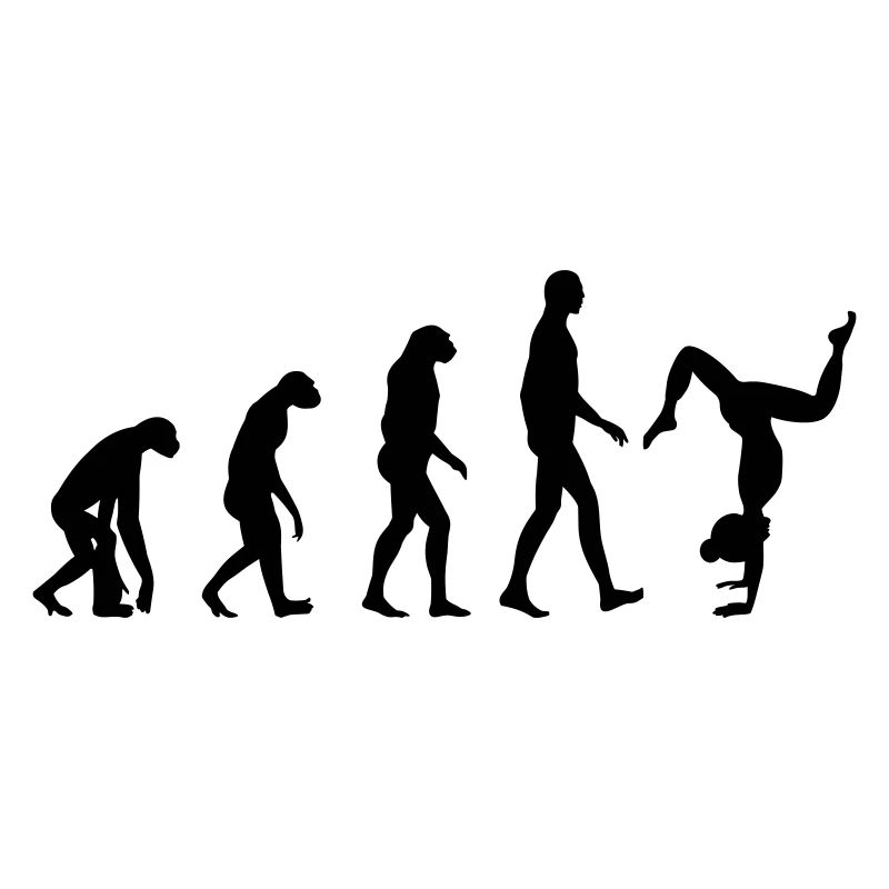 Yoga Evolution