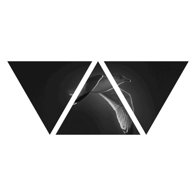 Bird black white triangle seagull gift