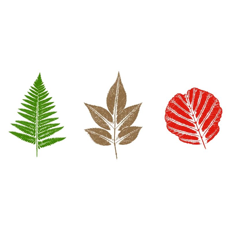 Blätter Design