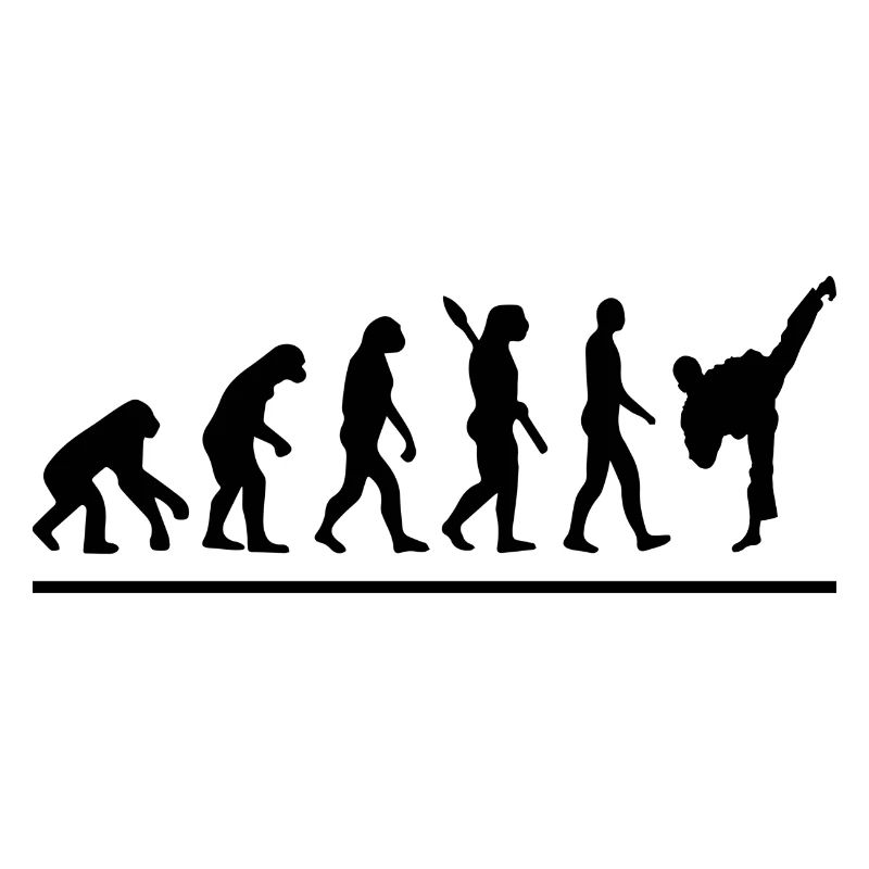 Évolution karaté / humour karaté
