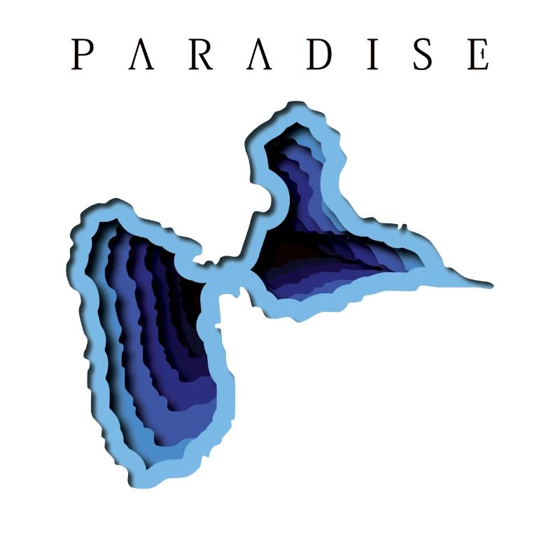 GWADA PARADIES T-Shirts
