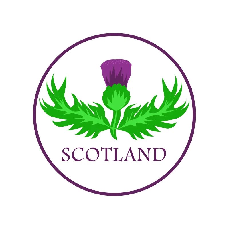 Schottland Distel Nationalblume