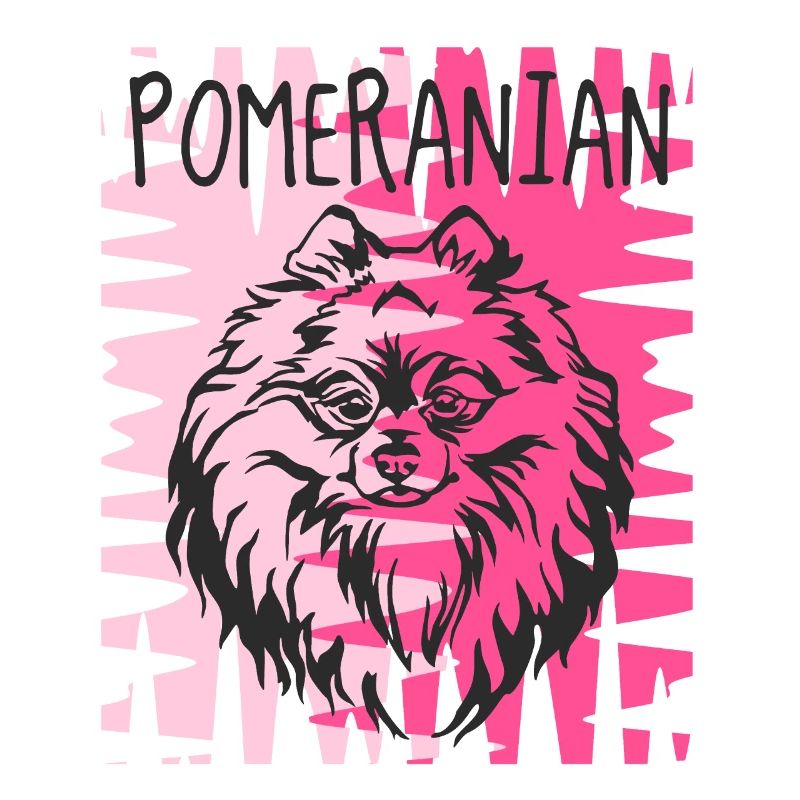 Pomerian