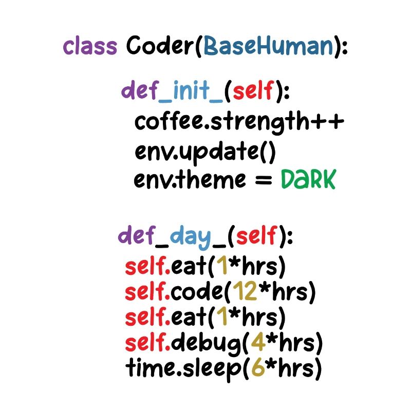 Developer Graphic Coder Programmer Computer Geek P
