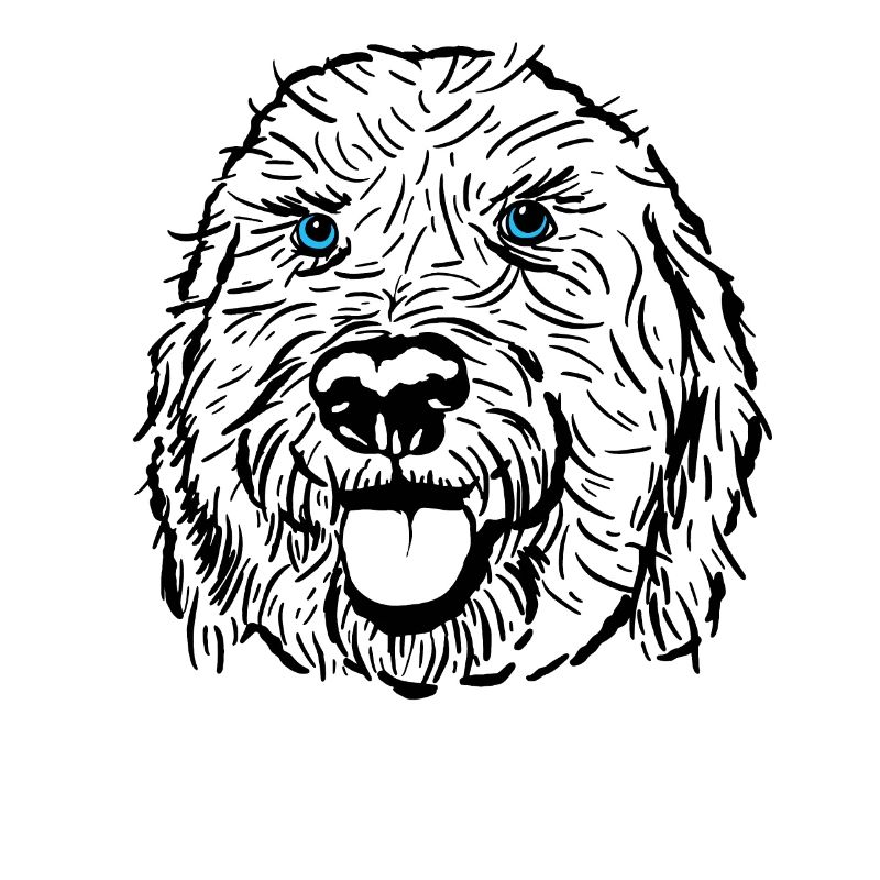 Golden Doodle Hund