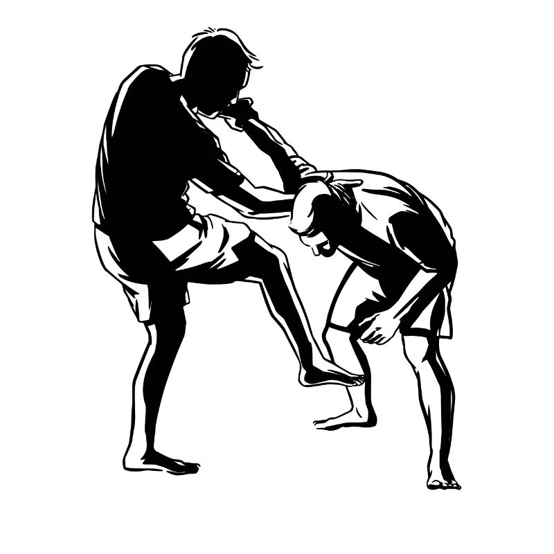 Krav Maga MMA