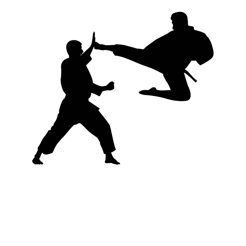 Karate MMA