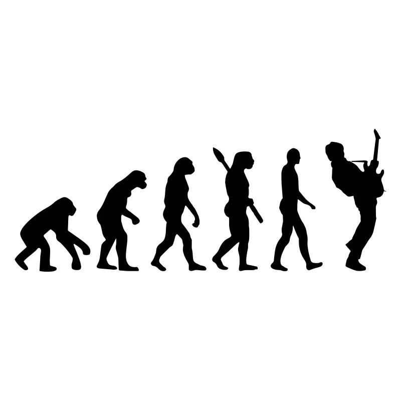 Guitarist Bassist Evolution