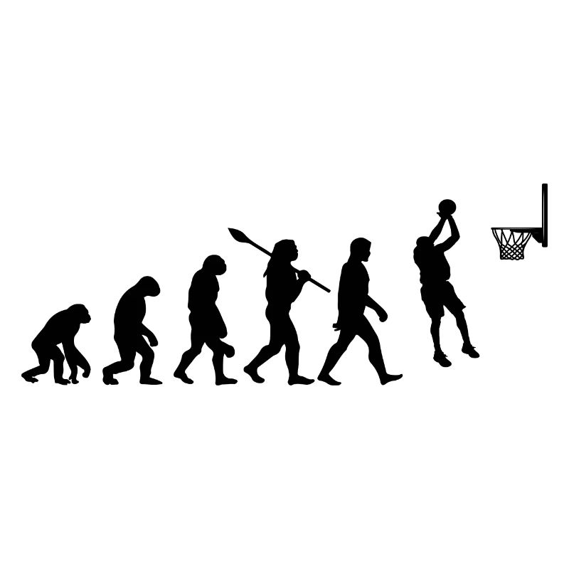 Basketball evolution