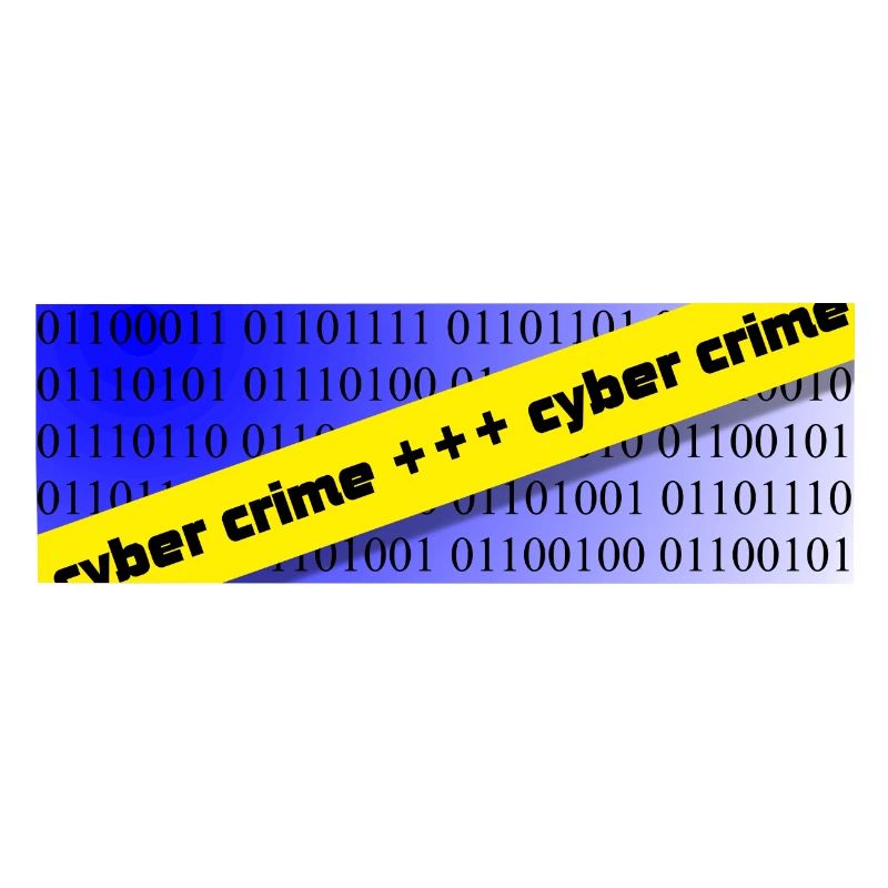 cyber crime