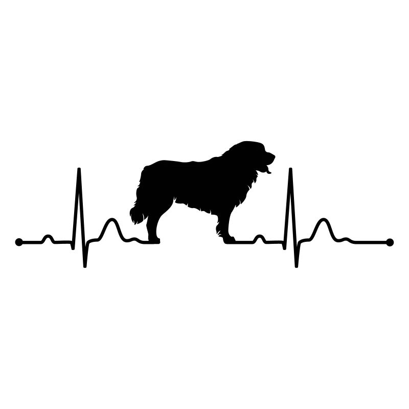 LEONBERGER heartbeat Herzschlag