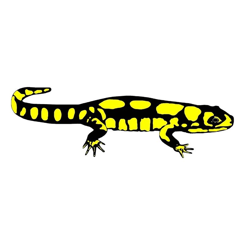 Salamander