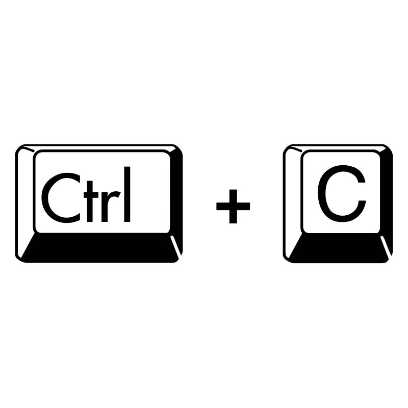 Copy Paste Funny Gift for Gemini