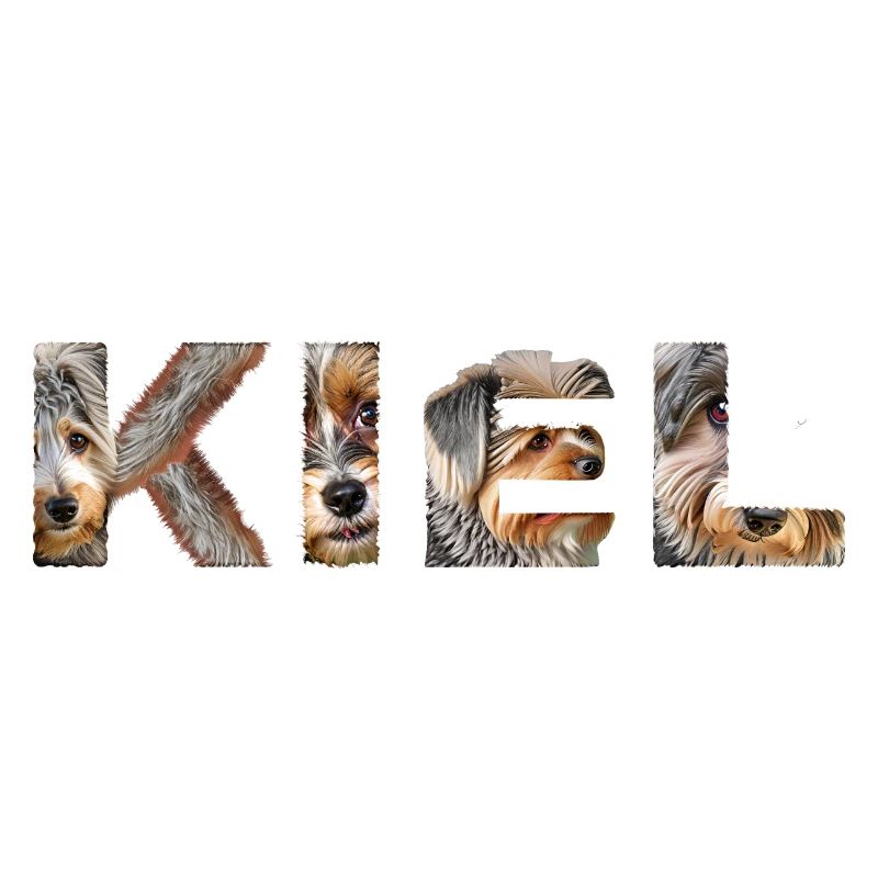 Kiel Hund