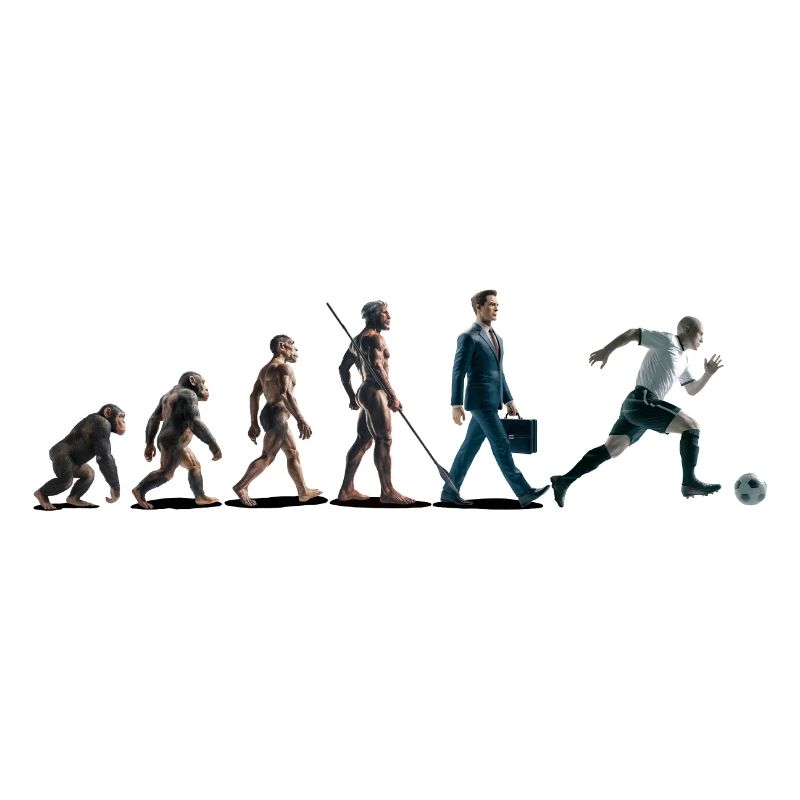 Evolution Fussball Zeichenfläche 1