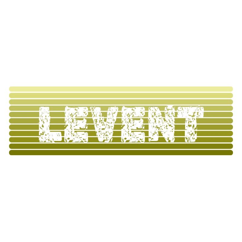 Gift for Levent
