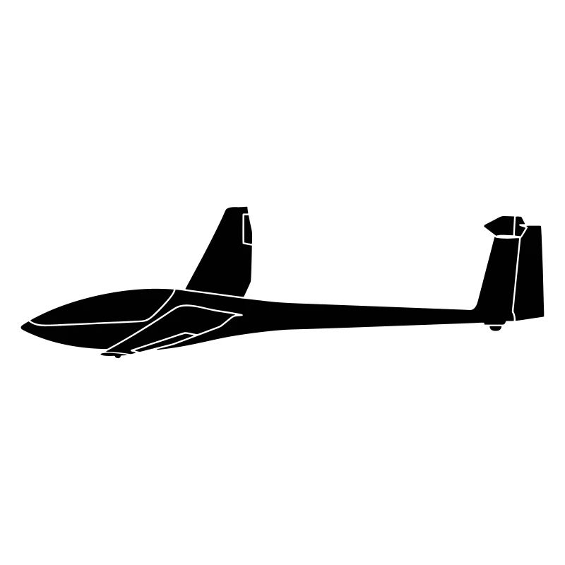 DG300