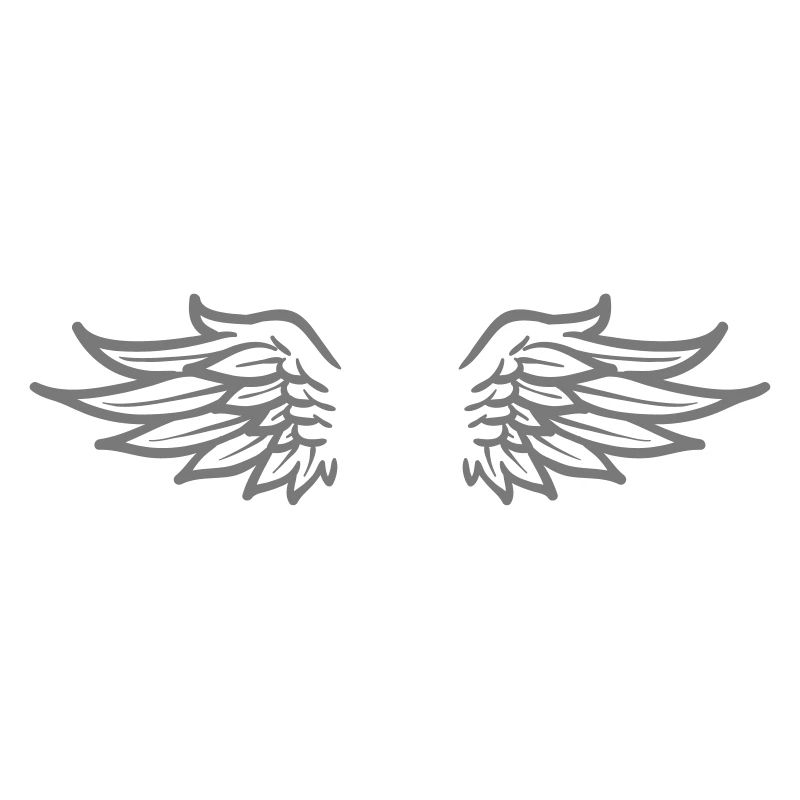 wings 1c