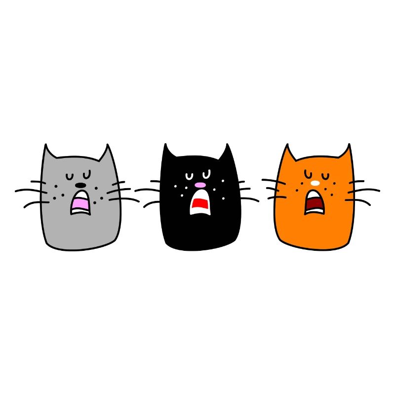 Katzenkonzert (b)