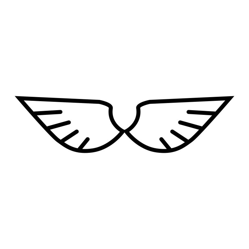 Wings
