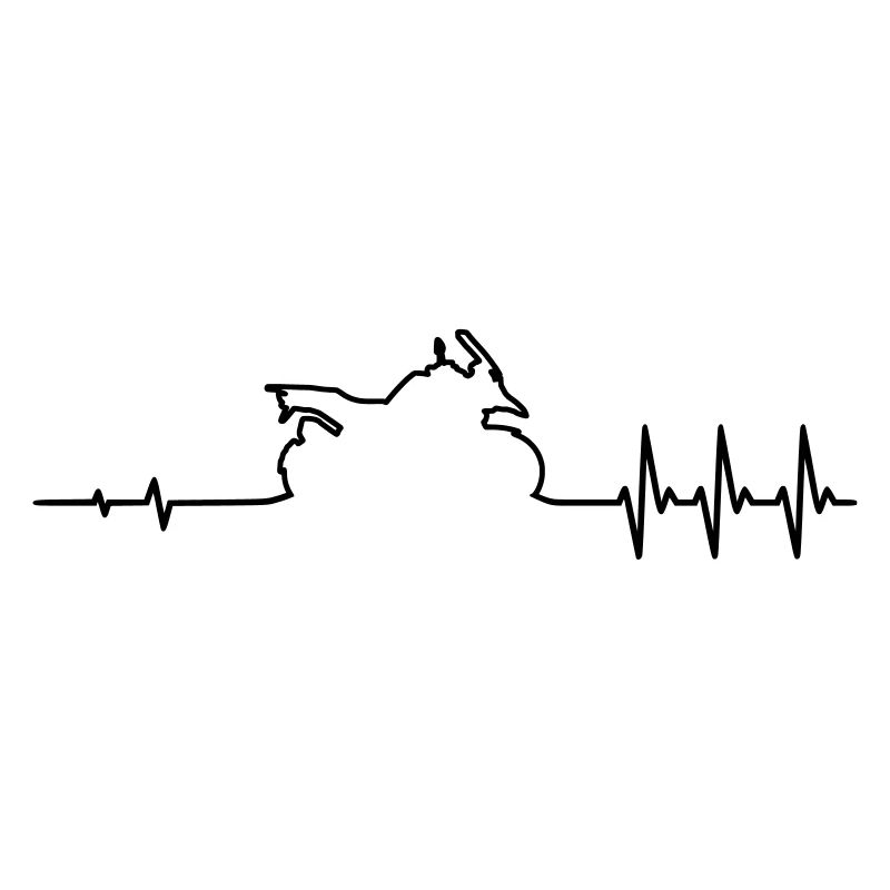 Puls GS Reiseenduro