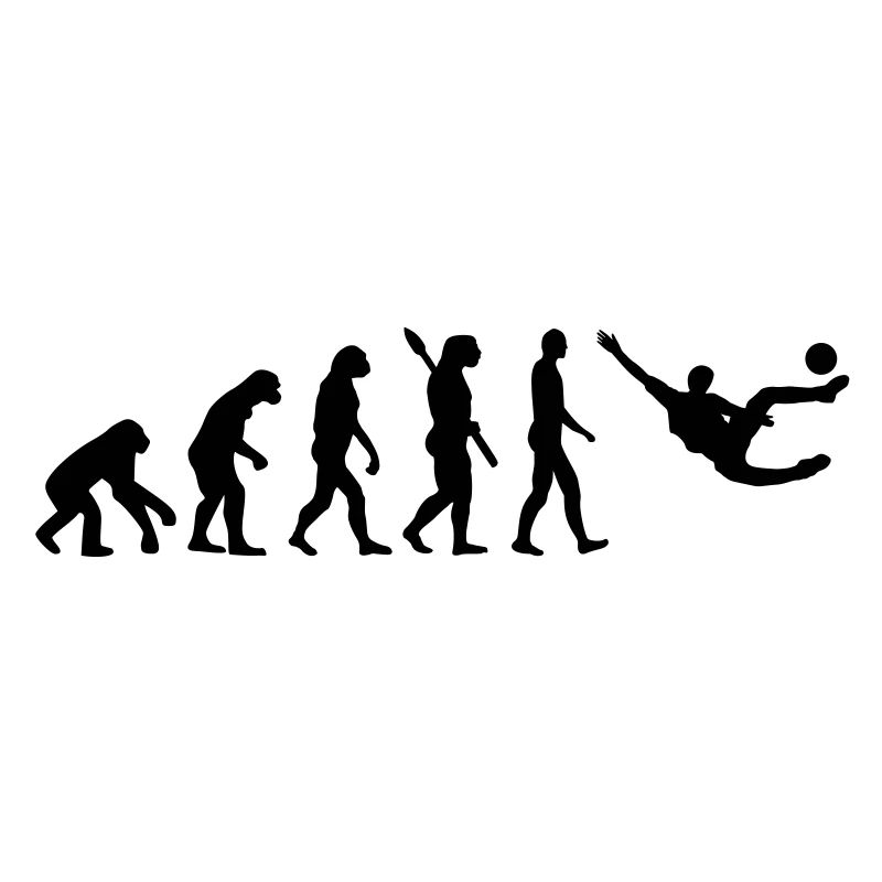 Evolution Fussball