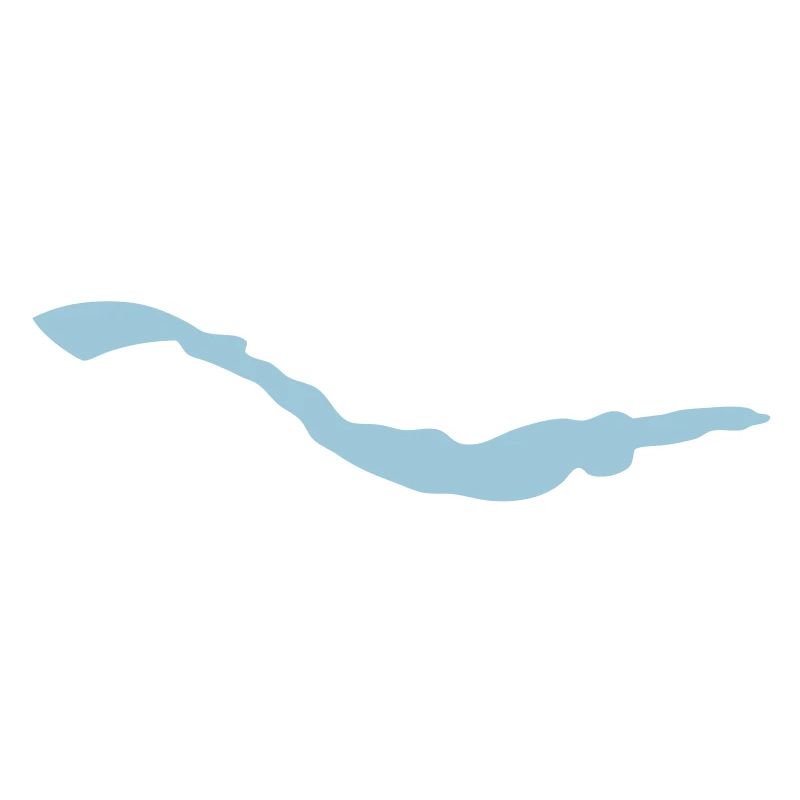 Schwimmflossen Flossenschwimmen flossenschwimme