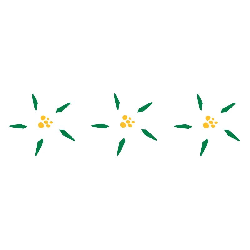 Edelweiss