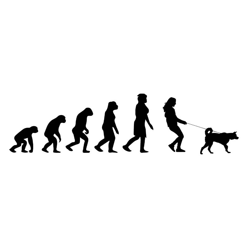 Dog Hund