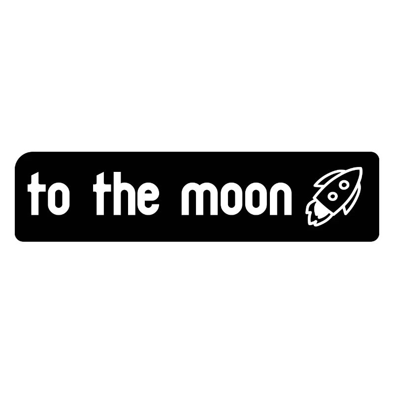 to the moon