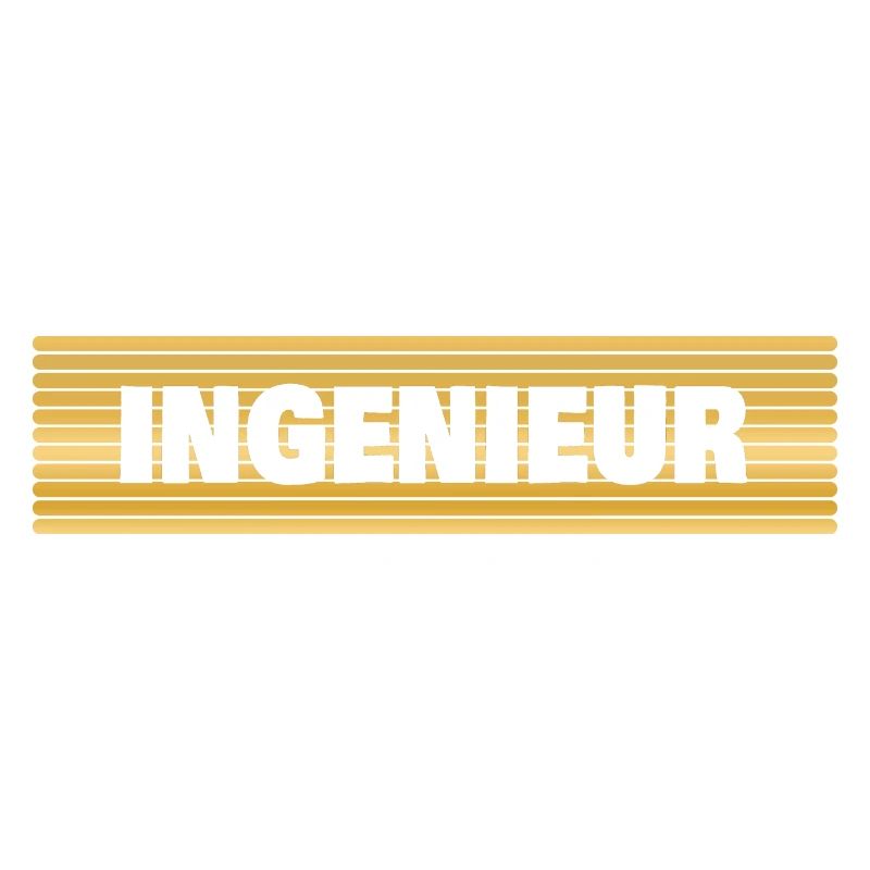 Ingenieur