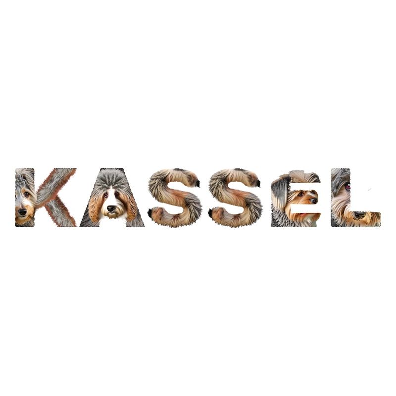 Kassel Hund