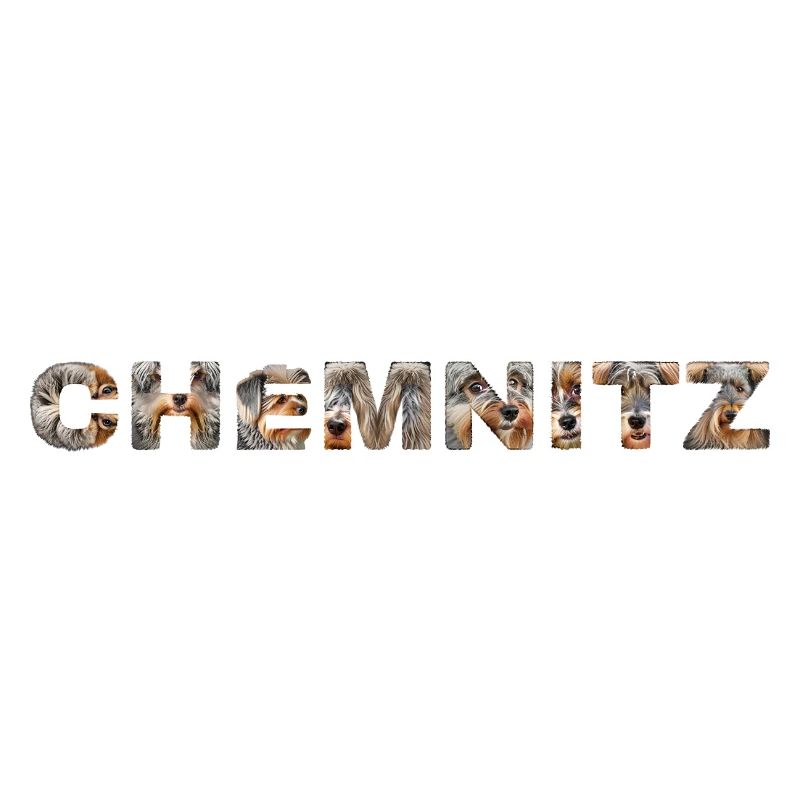 Chemnitz Hund