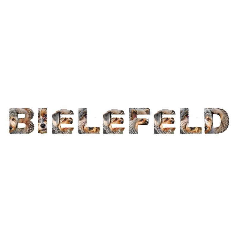 Bielefeld Hund