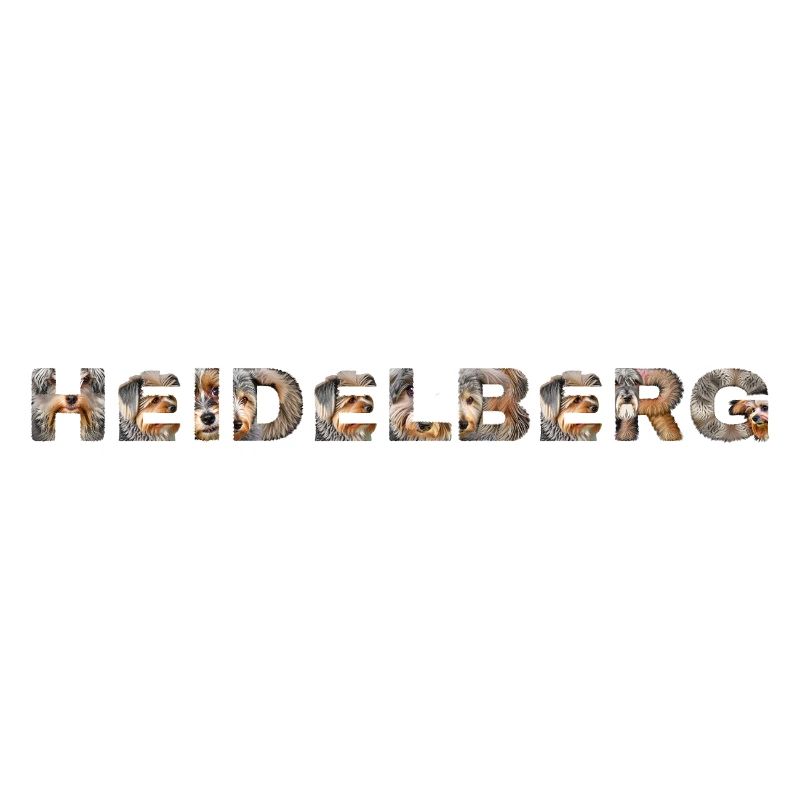 Heidelberg Hund