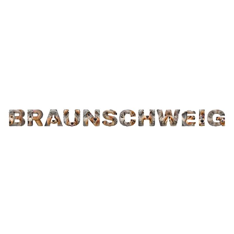 Braunschweig Hund