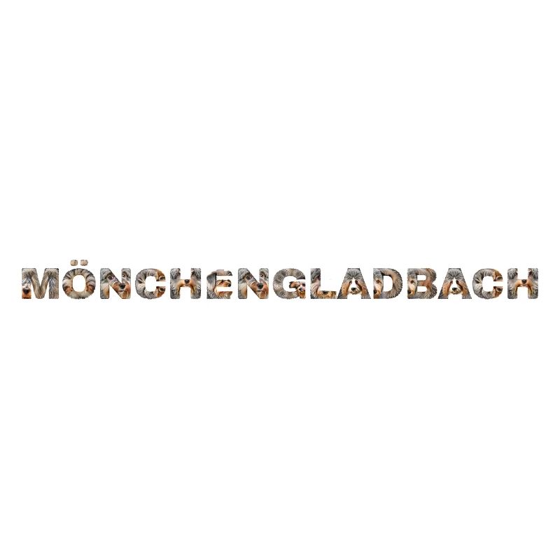 Mönchengladbach Hund