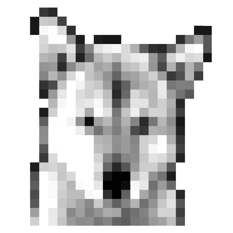 Jindo Mosaik