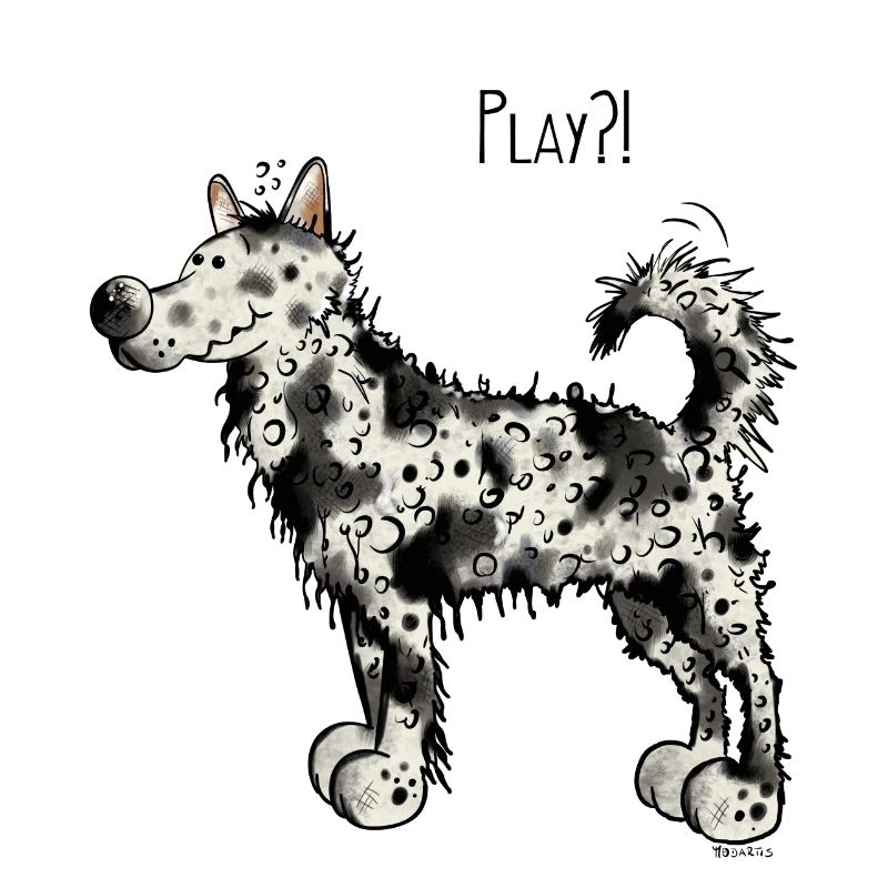 Mudi Play